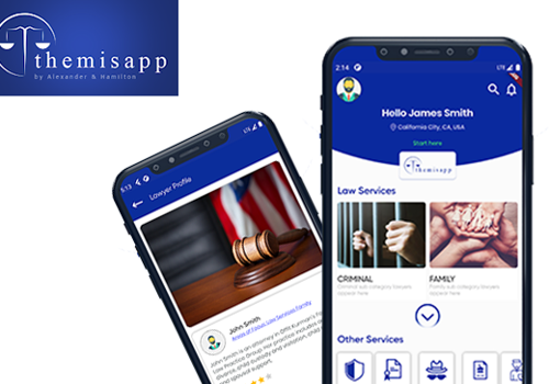 Mobile App Development Package Example: Themis: Lawyers & Attorney App