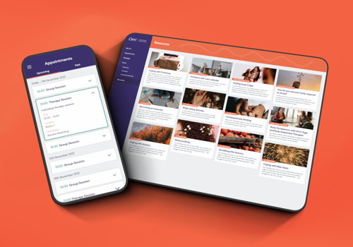 UX/UI Design Package Example: Orri