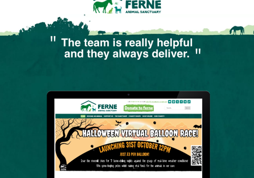 Web Design Package Example: Charity WordPress & WooCommerce Development