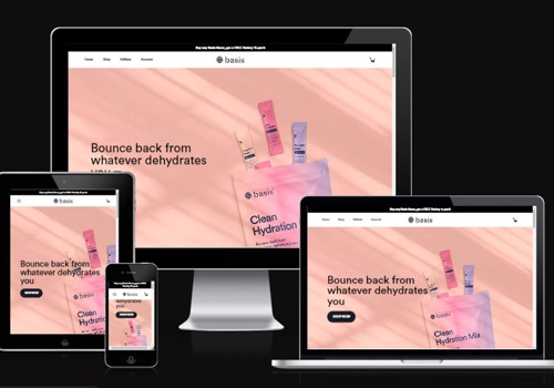 Search Engine Optimization Package Example: Drink Basis