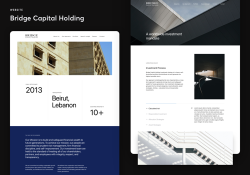 Web Design Package Example: Bridge Capital Holding – Web Design & Development