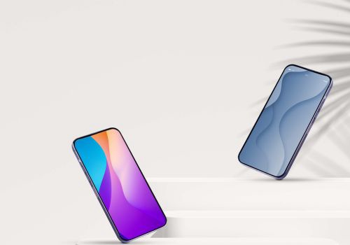 Finance & Accounting Outsourcing (FAO) Package Example: Gadget Mobile World - A Retail Mobile Company