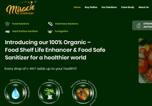 UX/UI Design Package Example: Website Design