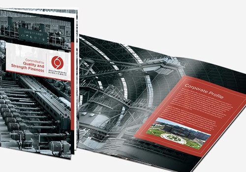 Graphic Design Package Example: Company profile for Alliance Steel