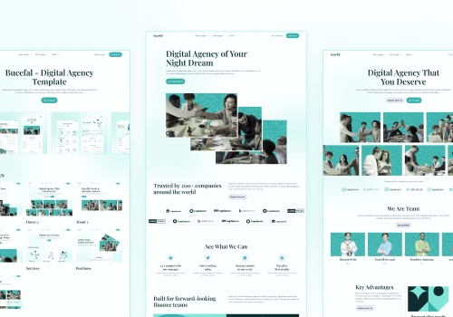 Web Design Package Example: Website design & Webflow development