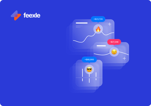 Web Development Package Example: Feexle