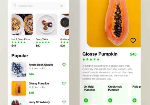 Mobile App Development Package Example: Food Ordering App