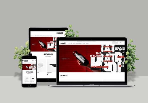 E-Commerce Development Package Example: Capelli Sports