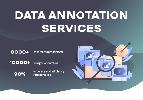 Data Annotation Services Package Example: Data Annotation Services