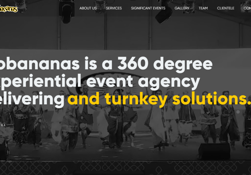 Web Design Package Example: Gobananas