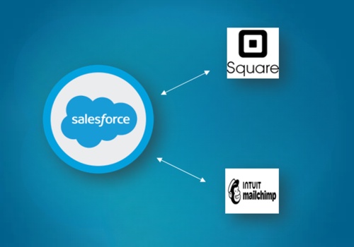 CRM Consulting and SI Package Example: Automate Water Purifier Company's Data