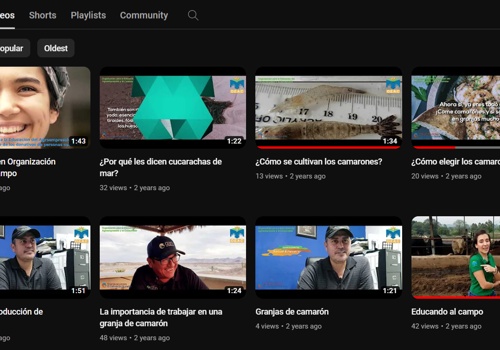 Social Media Marketing Package Example: Educando al campo