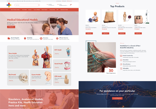 Web Development Package Example: Models Cart
