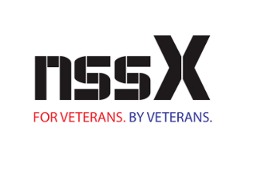 Business Consulting Package Example: NSS-X