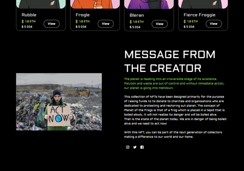 Branding Package Example: NFT Website Project