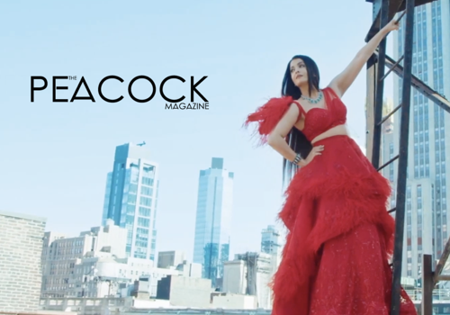 Video Production Package Example: Promotional video for "The Peacock Magazine"
