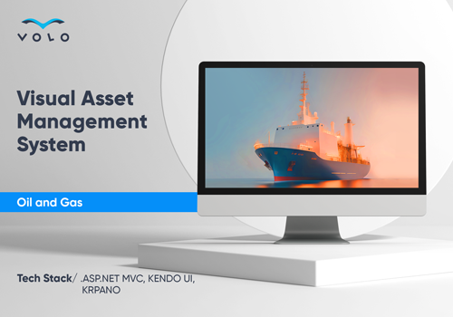 Custom Software Development Package Example: Visual Asset Management System