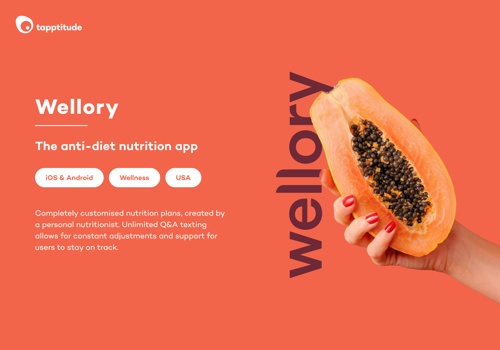 UX/UI Design Package Example: Wellory