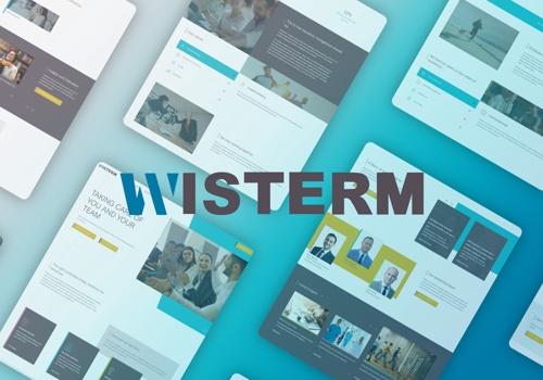 Web Design Package Example: Wisterm