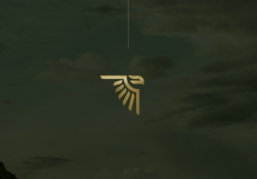 Branding Package Example: Hawkridge Brand Identity & Web Design