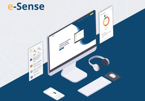 Web Development Package Example: e-Sense