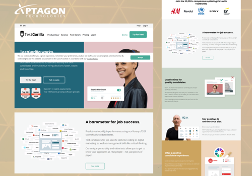 Search Engine Optimization Package Example: Transforming Test Gorilla's Digital Experience