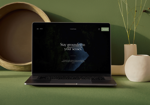UX/UI Design Package Example: Defining a New Segment: Adult Anxiety Tools