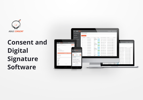 Web Development Package Example: Agile Consent