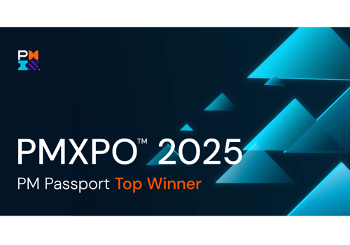 Business Consulting Package Example: PMXPO 2025