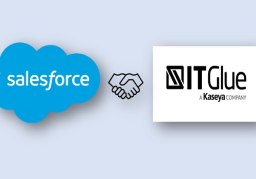 CRM Consulting and SI Package Example: Streamlining case management and optimizing