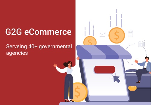 Custom Software Development Package Example: G2G eCommerce Serving 40+ governmental agencies