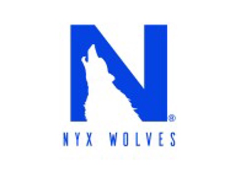 Web Development Package Example: Mera Einstein