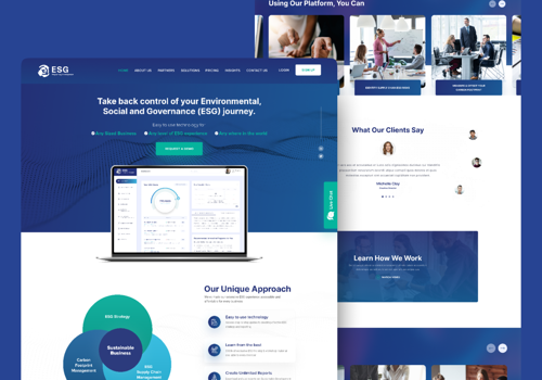 Web Design Package Example: ESG website design