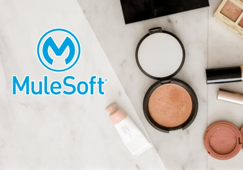 CRM Consulting and SI Package Example: A Beauty and Wellness Company