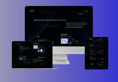 Web Design Package Example: Sinesi