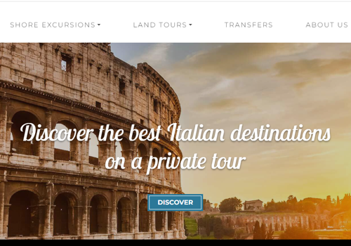 Custom Software Development Package Example: Tour and Travel Management System