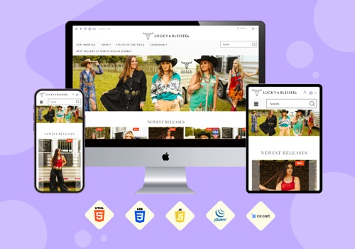 Custom Software Development Package Example: landbapparel