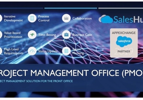 CRM Consulting and SI Package Example: Salesforce Project Management Officer