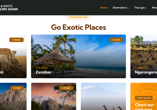 Web Design Package Example: Web designing