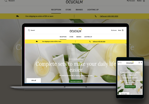E-Commerce Development Package Example: Shopify Theme Customization