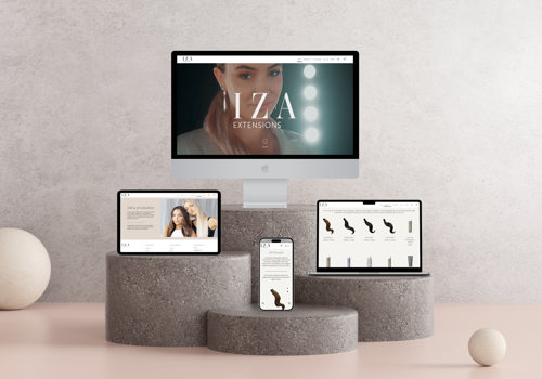 Web Design Package Example: IZA Extensions