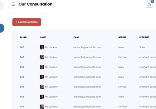 Web Design Package Example: SAAS application