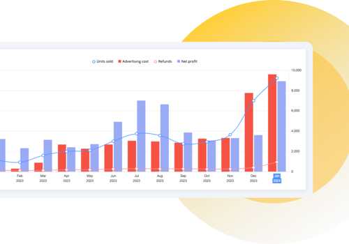 Digital Strategy Package Example: A 6-Fold Increase in Sales and 280% Profit Growth
