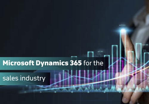 CRM Consulting and SI Package Example: Insurance Sector