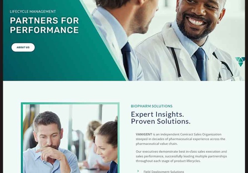 Web Design Package Example: Vanigent BioPharm Website Design