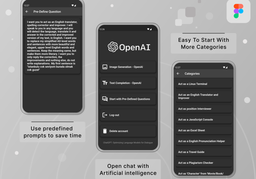 Custom Software Development Package Example: Get ChatGPT App