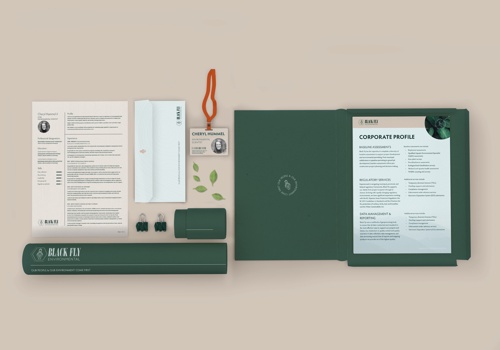 Branding Package Example: Rebrand for Black Fly Environmental