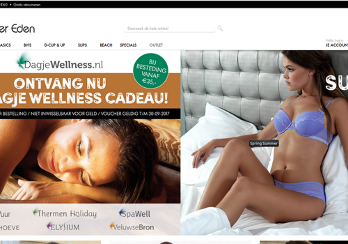 Web Development Package Example: Theme and Size table module development