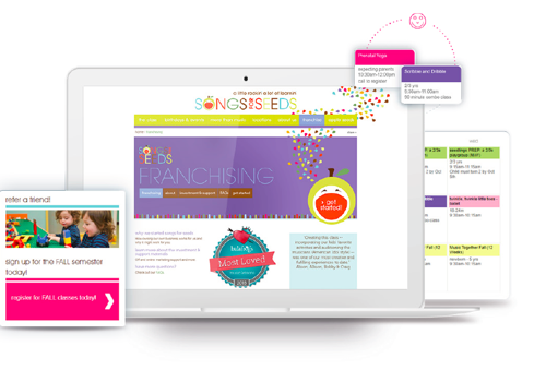 Custom Software Development Package Example: Apple Seeds