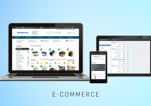 Web Development Package Example: EuropaFoodXB